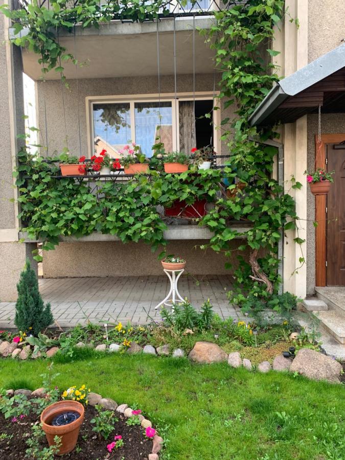 Hotel Regina House Kowno Zewnętrze zdjęcie